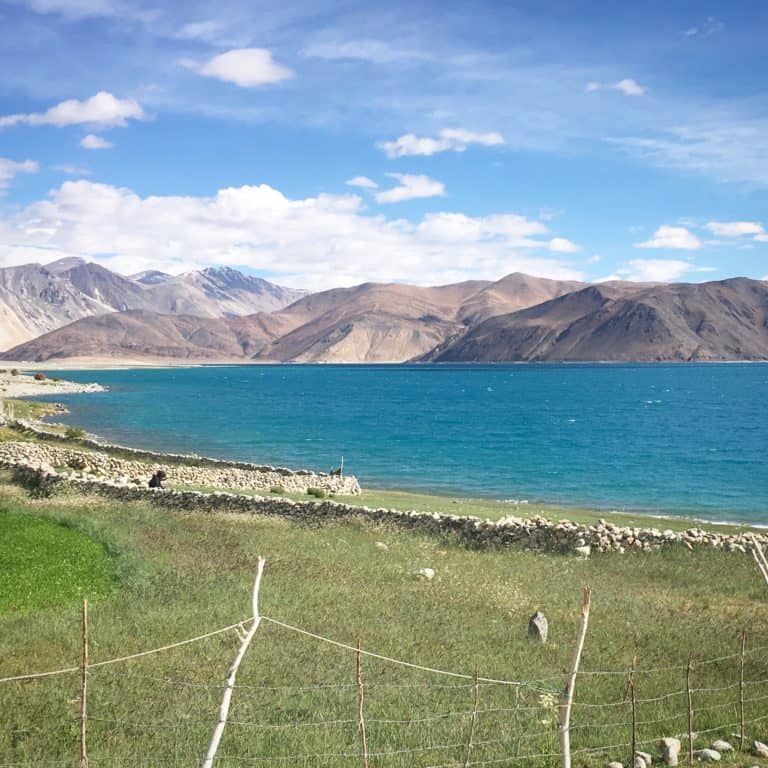 Pangong Tso, Ladakh
