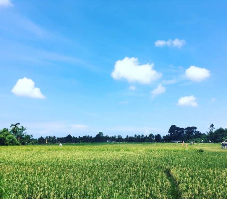The Best Area to Stay in Bali for Older Couples: Detailed Guide
