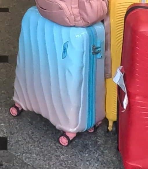 Best small trolley bag - Skybag trolley bag