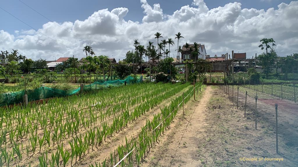 Hoi An Countryside - Hoi An day trips
