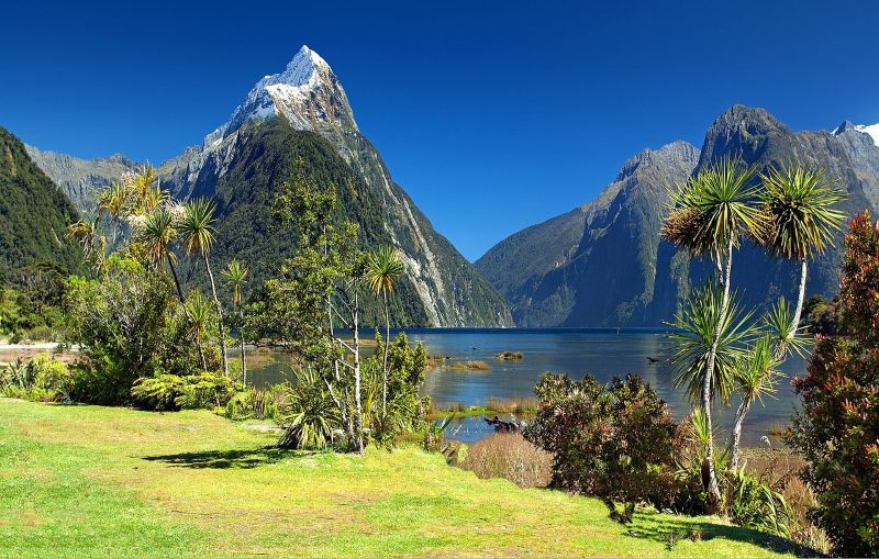  A pristine lake surrounded by towering forest-covered peaks in Fiordland National Park—an awe-inspiring setting for couples seeking unforgettable honeymoon destinations in forest scenery.