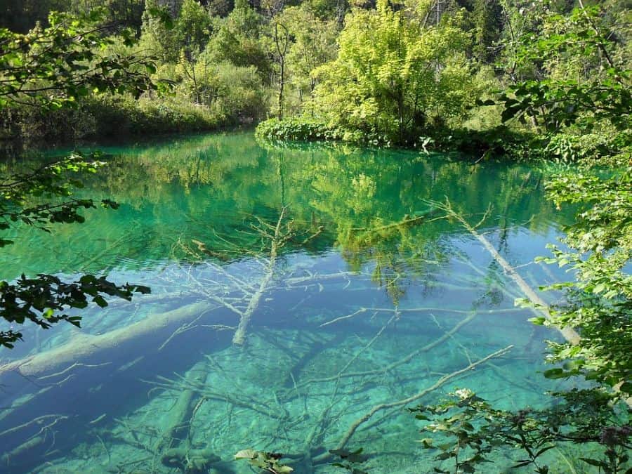 A stunning view of the Lower Lakes at Plitvice Lakes National Park, showcasing crystal-clear turquoise waters and lush greenery. A breathtaking natural wonder and essential stop on any Croatia Summer Itinerary