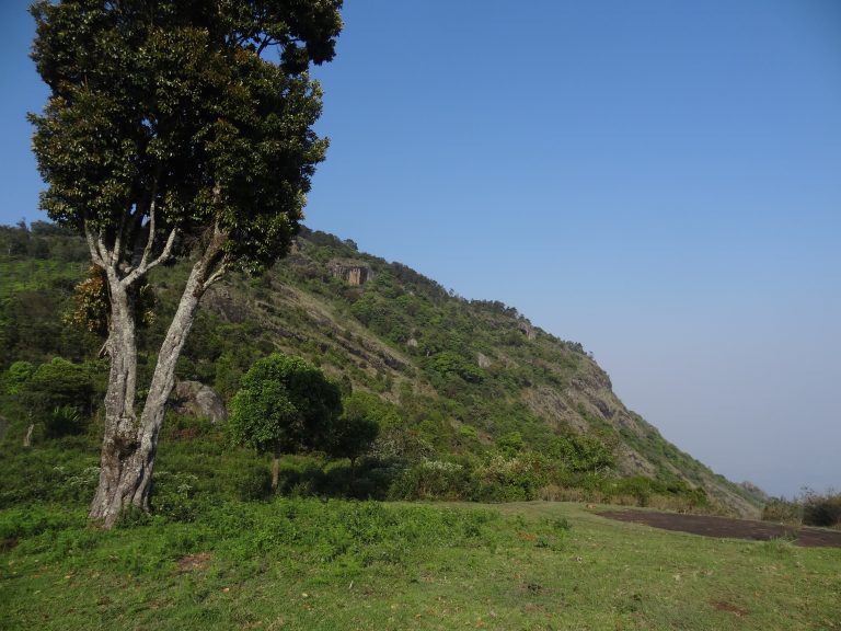 An Easy-To-Follow 3 Day Itinerary For Ooty and Coonoor