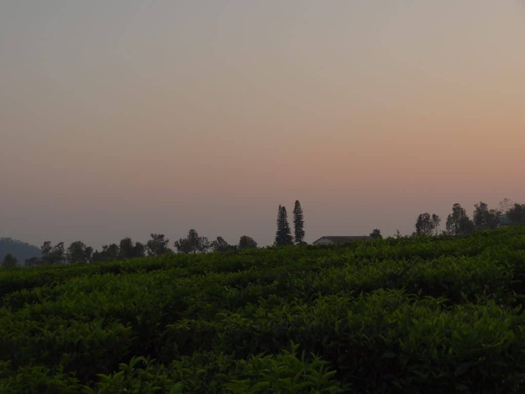 Sunset at Lady Canning's seat in Coonoor