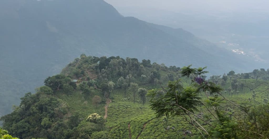 The Dolphin's nose rock formation in Coonoor