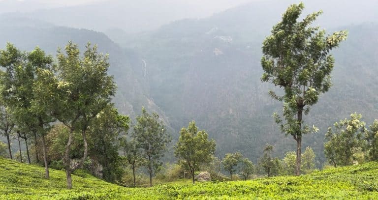 18 Top Things To Do In Ooty And coonoor For First-Timers